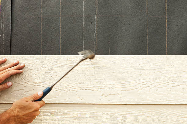 Best Siding Removal and Disposal  in Apalachicola, FL